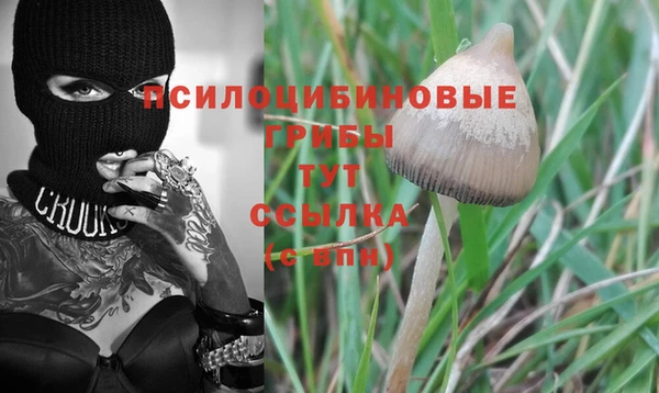 спайс Баксан