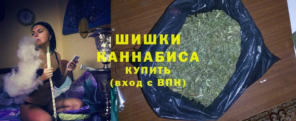 шишки Арсеньев