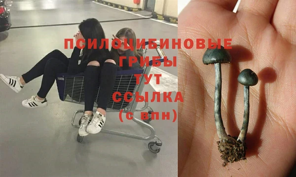 спайс Баксан