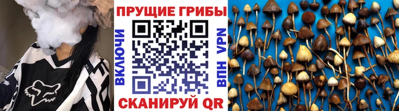 Псилоцибиновые грибы Magic Shrooms  где купить   площадка телеграм  Усть-Кут 
