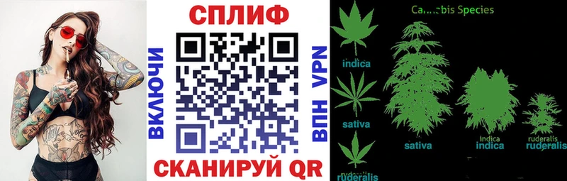 продажа наркотиков  Усть-Кут  Бошки Шишки OG Kush 